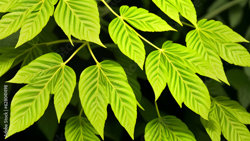 Tropical foliage seamless pattern on slight blurred background. Close-up leaves display