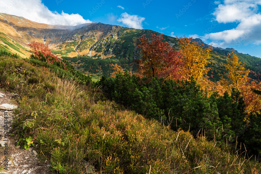 Autumn in Jamnicka dolina valley in Western Tatras mountains in Slovakia