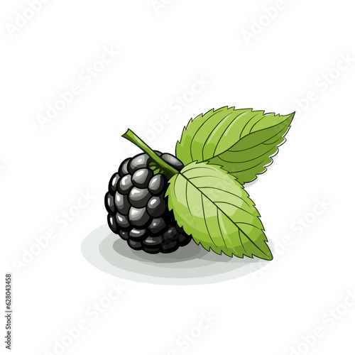 Blackberry. Blackberry hand-drawn comic illustration. Vector doodle style cartoon illustration.