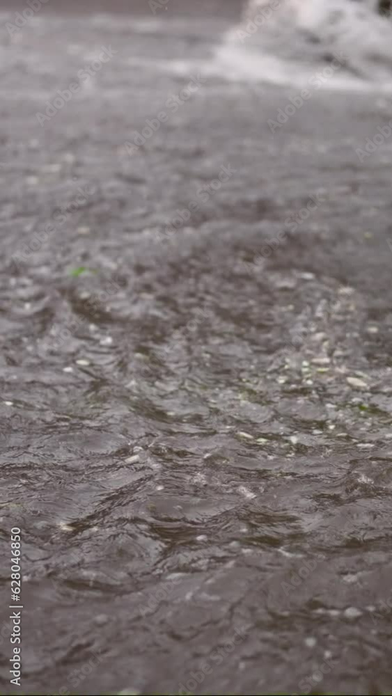 Vertical video, Real time, Swift stream of rainwater flows into storm drain, cars are driving at city crossroads on background. Heavy rain leads to sewage overflow, flood in city Vertical video, Real time, Swift stream of rainwater flows into storm drain, cars are driving at city crossroads on background. Heavy rain leads to sewage overflow, flood in city