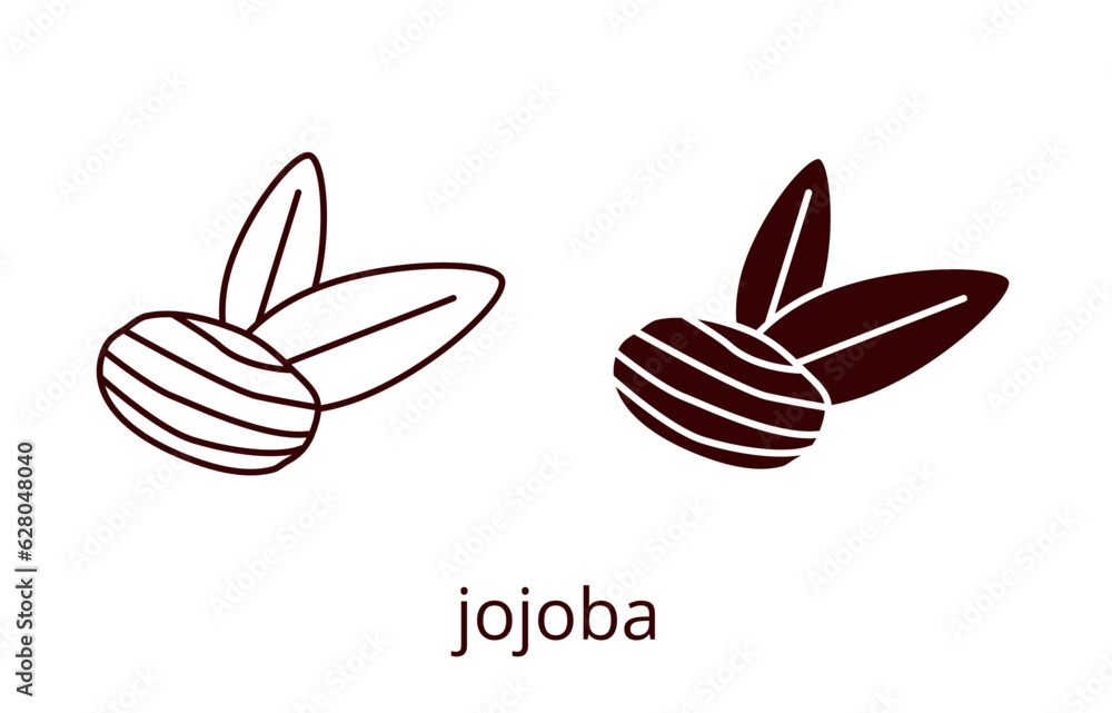 Fototapeta premium Jojoba icon, line editable stroke and silhouette