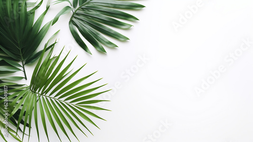 white background with palm leaves with empty space to insert. Generative Ai. 