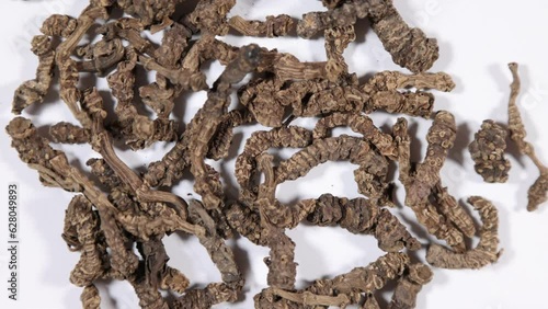 Dehydrated knobby valerian roots spinning clockwise - shallow depth of field