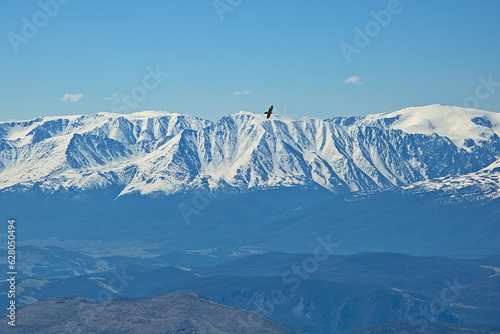 View of the Severo-Chuysky Range from Mount Lysukha.