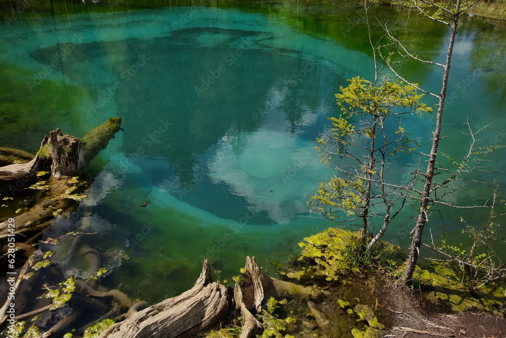 Fototapeta premium Geyser lake near Aktash village in Altai.