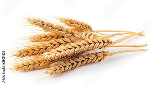 Wheat ears isolated on white background for your design. Generative Ai. 