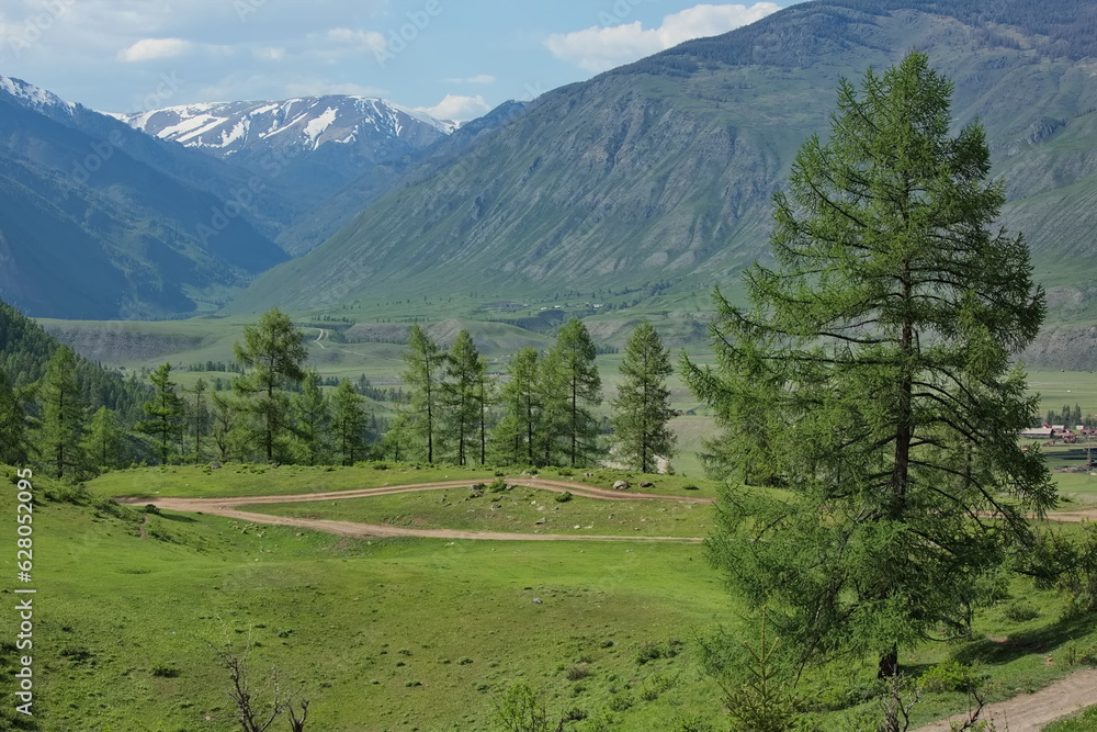 Valley of the Chuya River in the vicinity of the village of Chibit, Altai.