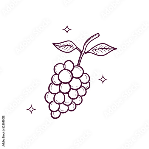 Hand Drawn Grapes. Doodle Vector Sketch Illustration