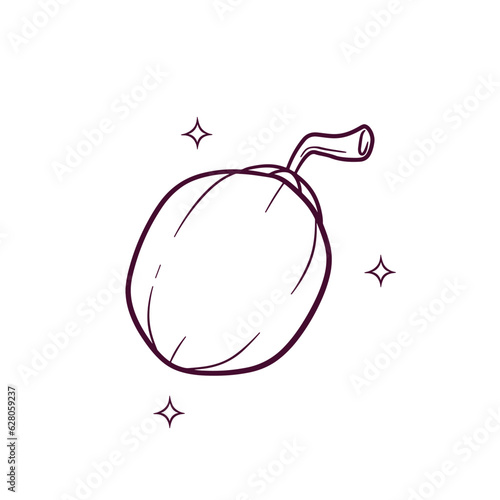 Hand Drawn Coconut. Doodle Vector Sketch Illustration