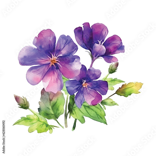 Violet flowers watercolor paint 