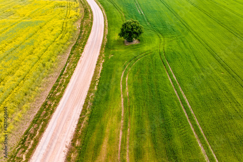 aerial view  on country gravel no traffic road among green and rapeseed fields