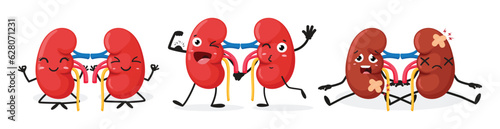 Cartoon Human kidney organ emotion, set of Cute characters, Isolated on white background