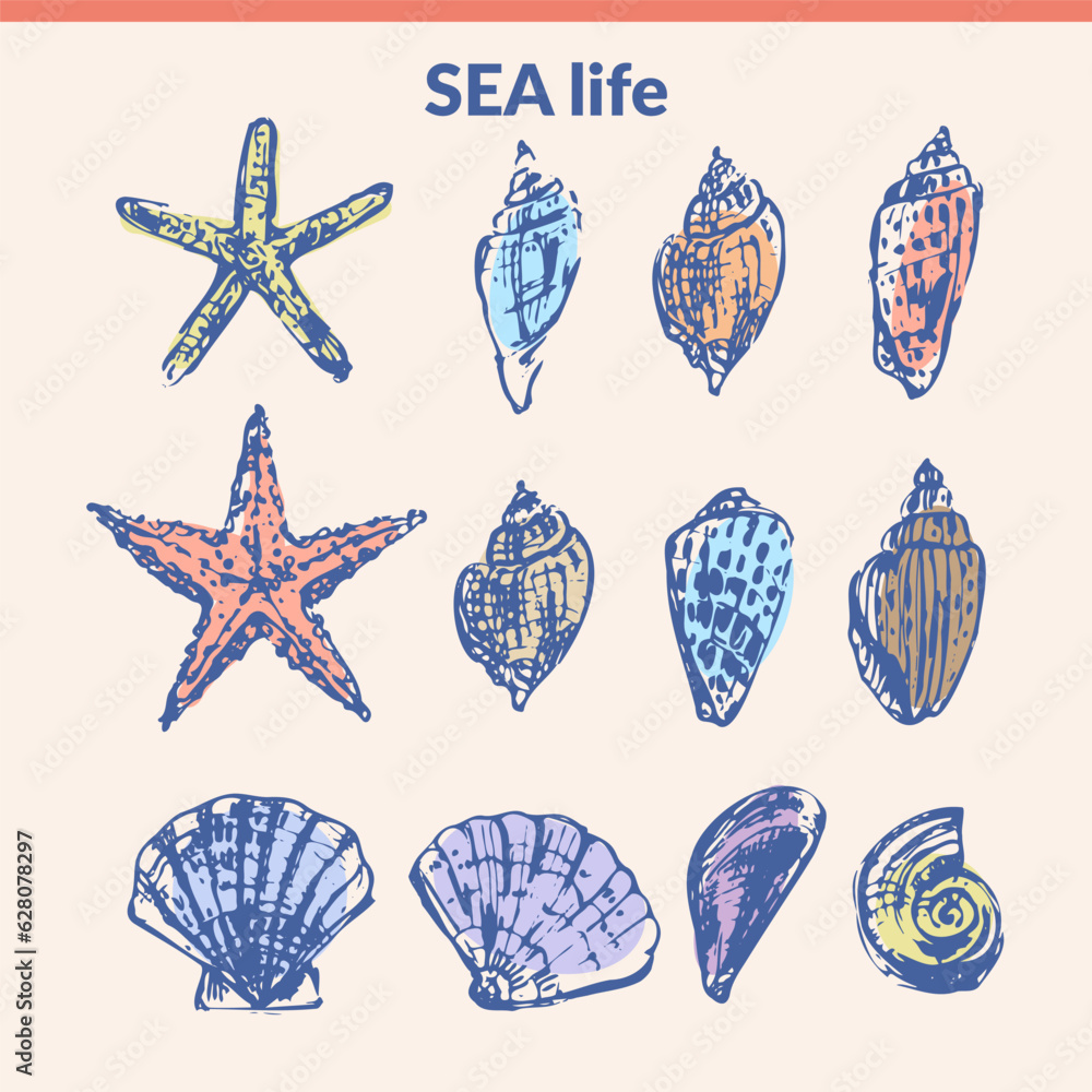 Hand drawn seashell sketch set. Hand drawn seashell sketch set.
