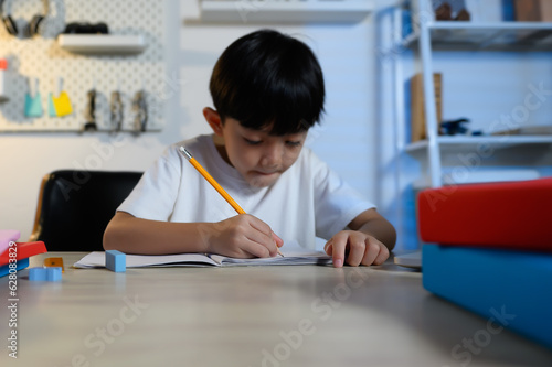 Asian Kid Boy Focused on Homework and Learning Alone in Room at Home, Serious Asian Kid Concentrating on Homework, Studying and Success, Homework and Education of Asian Kids Concept.