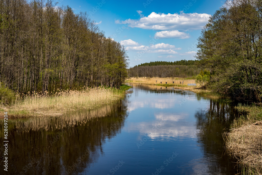 Obraz premium Zeimena river flowing through Svencioneliai, Lithuania