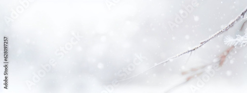 White beaytiful winter Christmas blurres background. Winter atmospheric natural landscape with frost-covered dry branches during snowfall.