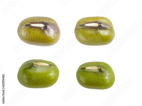 Mung bean (Moong bean, Green gram) photo