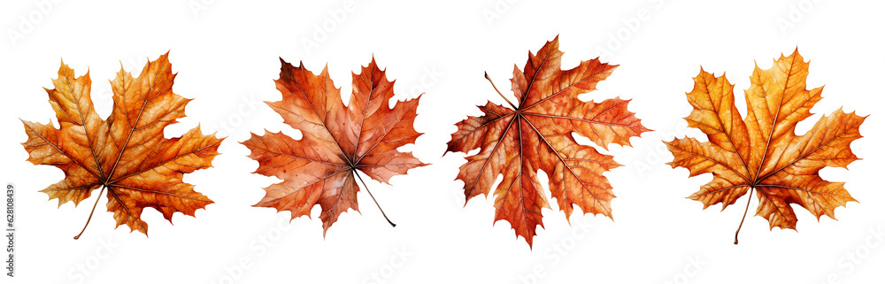 Watercolor set of autumn leaves isolated on transparent background. Generative Ai Watercolor set of autumn leaves isolated on transparent background. Generative Ai