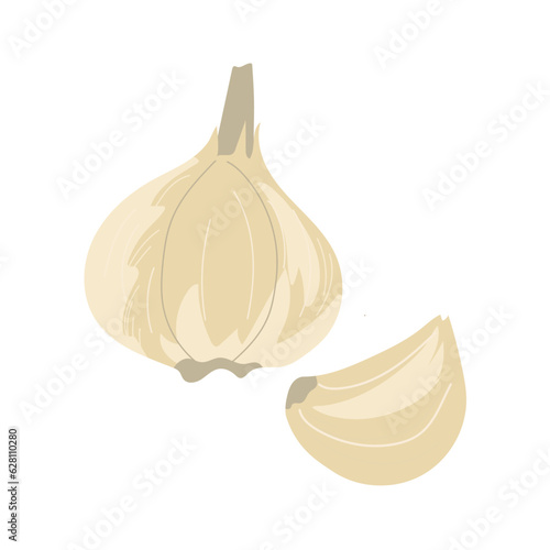 Garlic illustration. Food illustration for books, magazines, menus