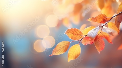 autumn colorful bright leaves spinning on a tree branch  bokeh effect