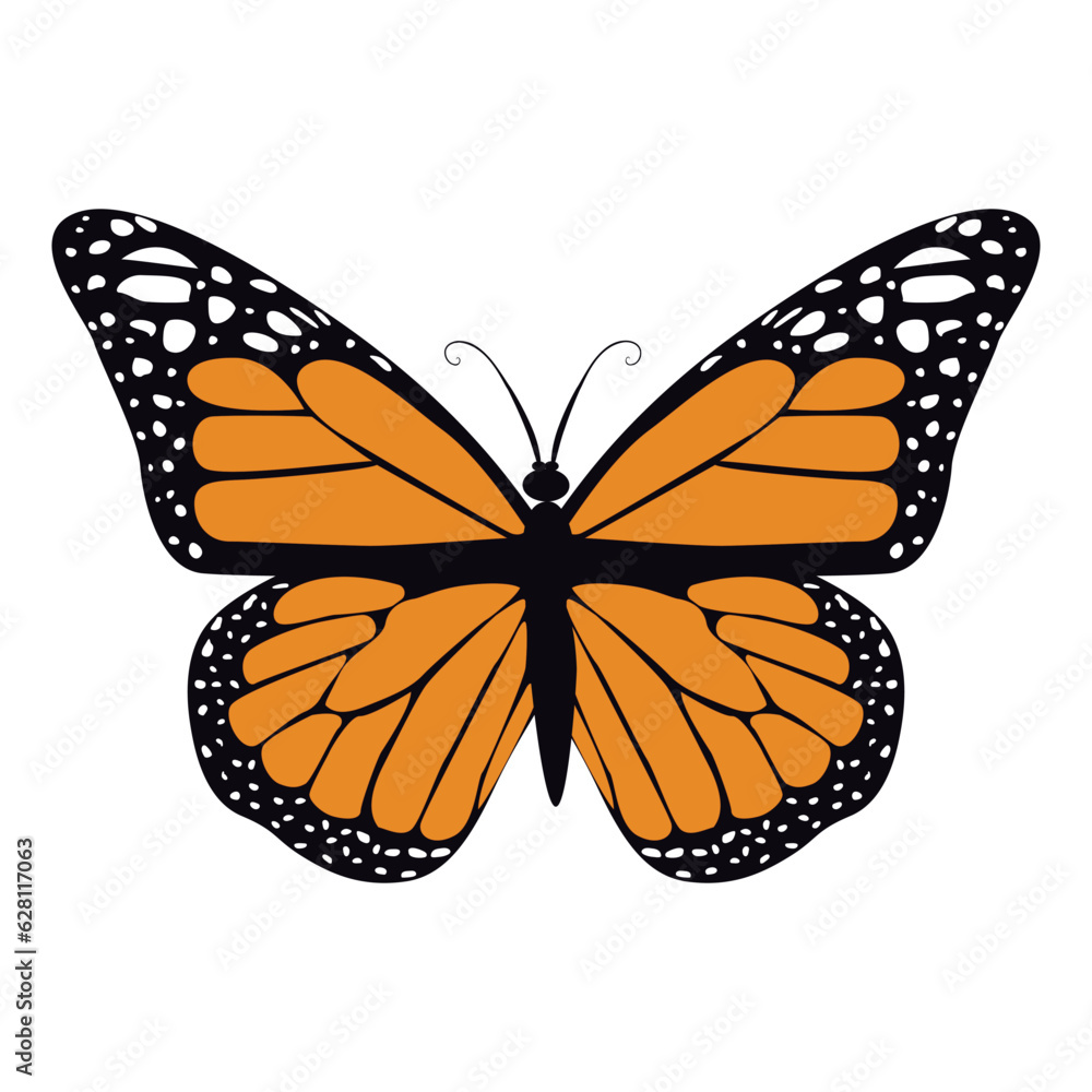 Fototapeta premium butterfly flat vector art on white background