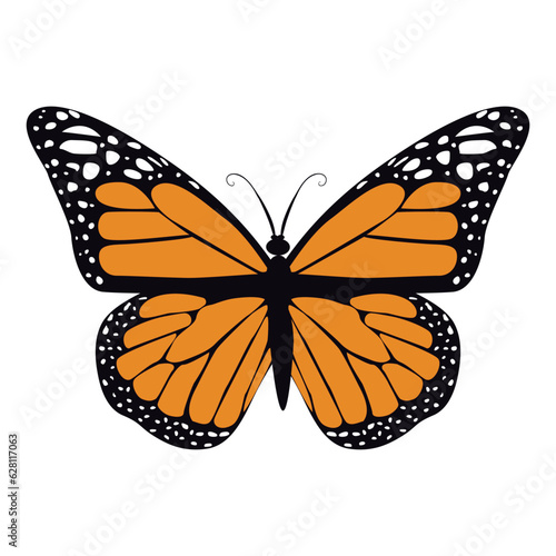 butterfly flat vector art on white background