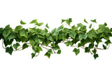 Enchanting Ivy Trail Realistic Ivy Leaves or Ivy Greenery. Generative Ai