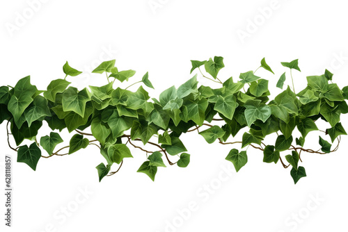 Enchanting Ivy Trail Realistic Ivy Leaves or Ivy Greenery. Generative Ai