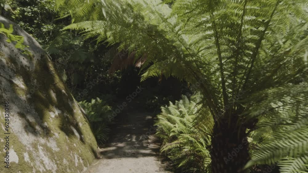 Slow motion camera inside tropical dense forest - Sintra park, Portugal. Presence effect. Great background for any of your projects. Slow motion camera inside tropical dense forest - Sintra park, Portugal. Presence effect. Great background for any of your projects.