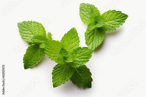 fresh mint leaves with real transparent shadow isolated on transparent background, Generative AI