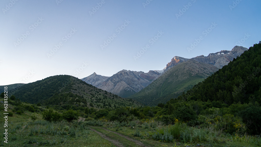 rocky mountain peaks. summer green mountains