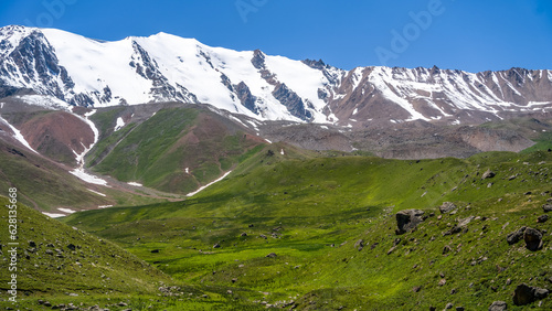 snowy mountain peaks. the green plateau of the foothills. summer mountains