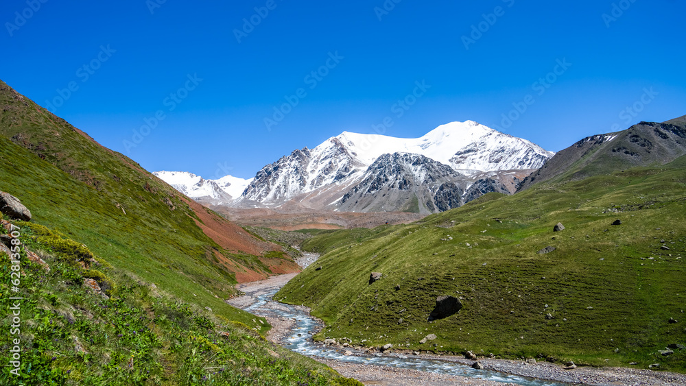 Fototapeta premium a stormy river in a beautiful mountain gorge. summer mountains. green gorge