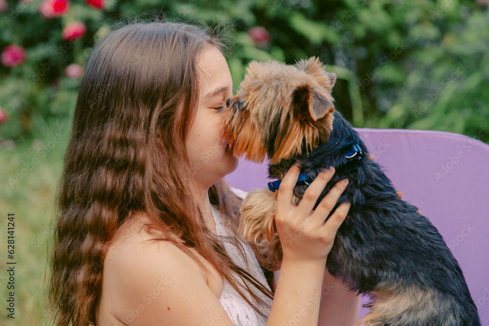 Beautiful teenage girl plays with a Yorkshire terrier dog Beautiful teenage girl plays with a Yorkshire terrier dog