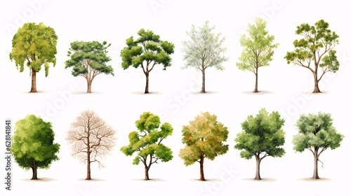 Isolated trees on white background. The collection of trees. Set of plants.