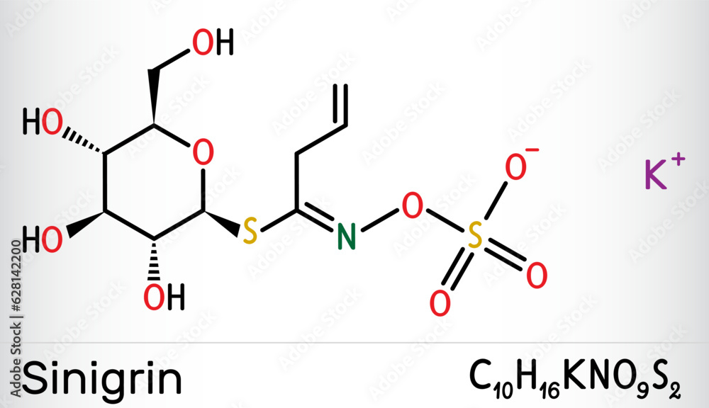 Sinigrin, allyl glucosinolate molecule. Glucosinolate from family of