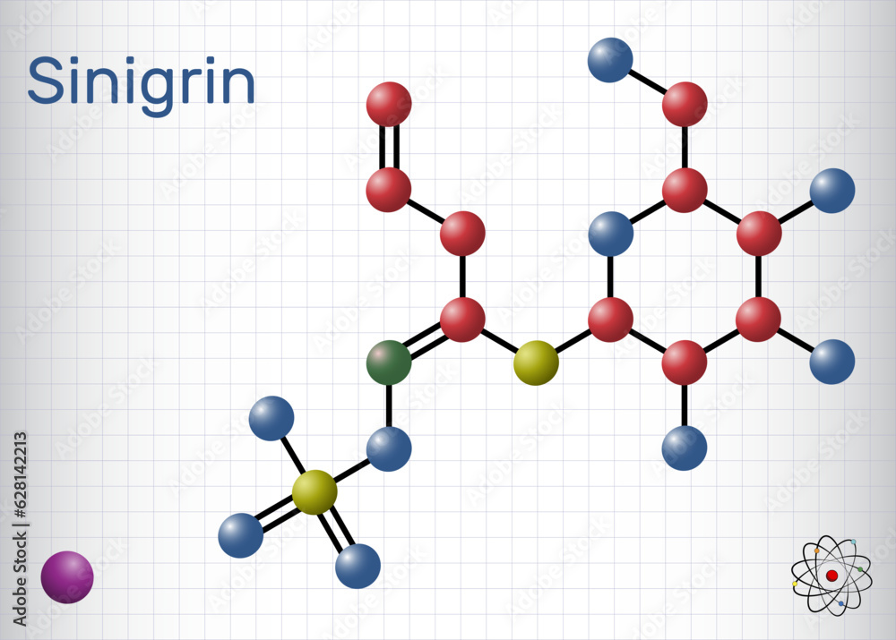 Sinigrin, allyl glucosinolate molecule. Glucosinolate from family of glucosides. Structural chemical formula, molecule model. Sheet of paper in a cage. Vector Sinigrin, allyl glucosinolate molecule. Glucosinolate from family of glucosides. Structural chemical formula, molecule model. Sheet of paper in a cage. Vector