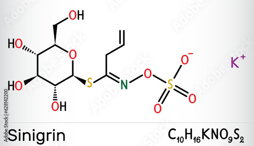 Sinigrin, allyl glucosinolate molecule. Glucosinolate from family of glucosides, found in plants of the family Brassicaceae. Skeletal chemical formula. Vector