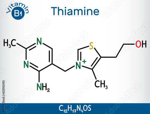 Thiamine, vitamin B1 molecule. Found in food, used as a dietary supplement and medication.  Structural chemical formula. Vector