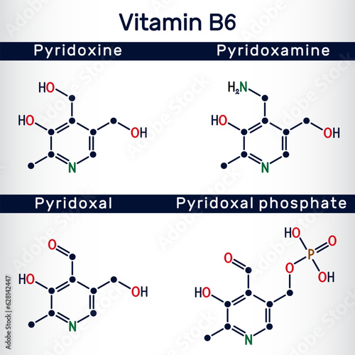 Forms of vitamin B6: pyridoxal, pyridoxal phosphate, pyridoxine, pyridoxamine molecule. Structural chemical formula. Vector
