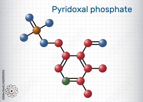 Pyridoxal phosphate, PLP molecule. It is active form of vitamin B6 and coenzyme. Molecule model, sheet of paper in a cage. Vector