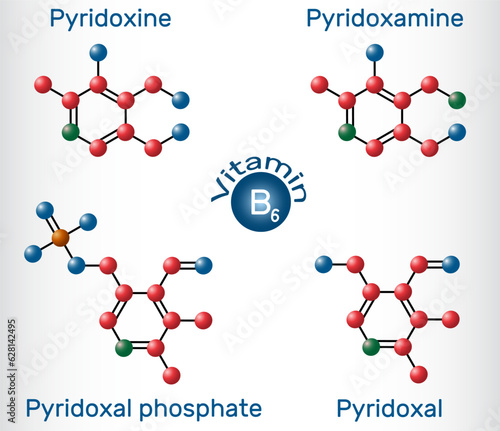 Forms of vitamin B6: pyridoxal, pyridoxal phosphate, pyridoxine, pyridoxamine molecule. Molecule model. Vector