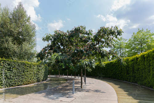 Krasnodar Park or Galitsky Park, a city park located in the northeast of the center of Krasnodar near the FC Krasnodar stadium. Krasnodar, Russia. 25.07.2023 photo