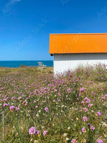 Orange cabin