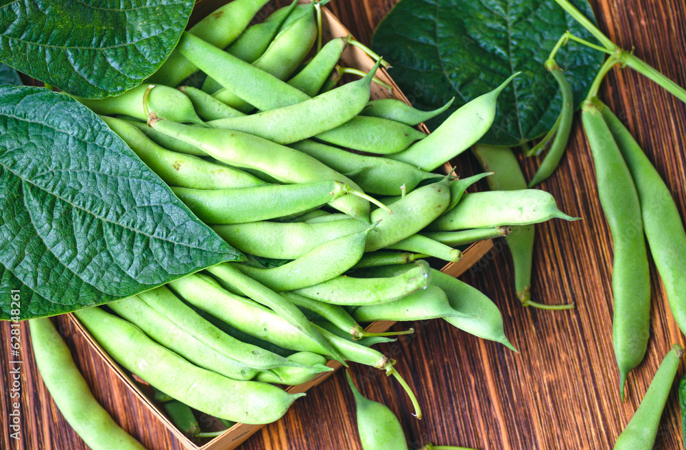 Fototapeta premium Pods of young, fresh, green asparagus beans
