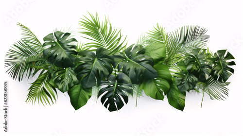 Tropic leaves foliage flora, jungle shrub, and floral setup, nature backdrop featuring Monstera and tropical palm plants. Isolated on a white background