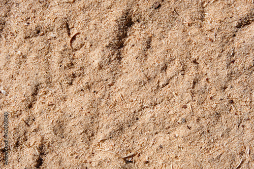 Forest sand with small remains of natural debris