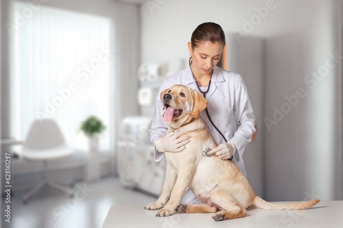 Young happy Veterinarian and dog Pet in a Clinic, AI generated image