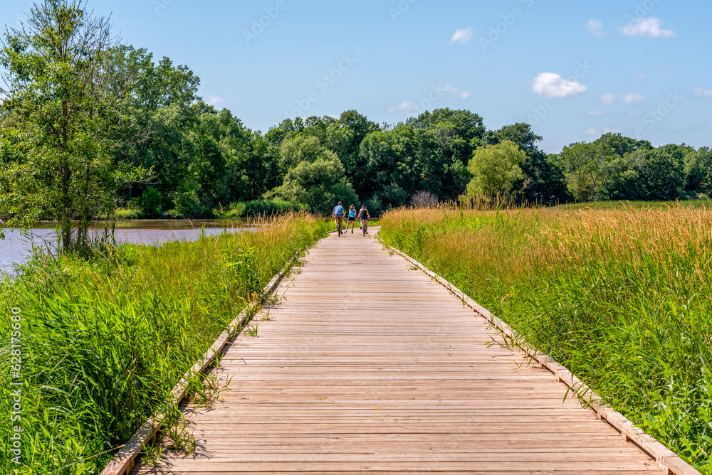 Bicycle Riders On A Wooden Boardwalk Through the Marsh In Summer
