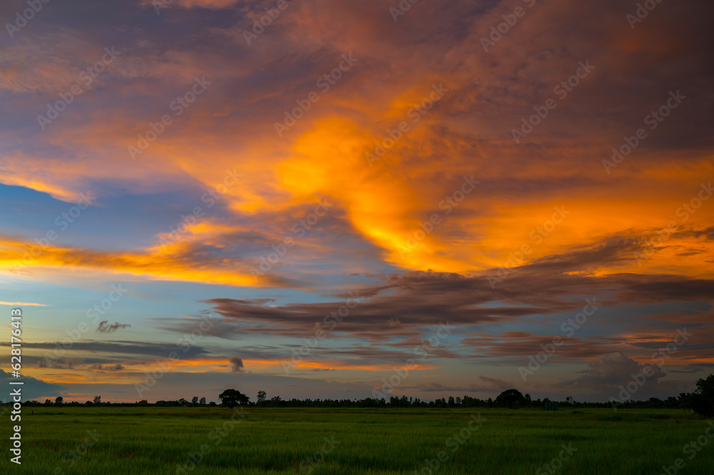 Fiery orange sunset sky. Beautiful sky.Sunrise with cloud over rice field.Paddy field Beautiful landscape Thailand Rice Fields Sunset panorama after big storm.